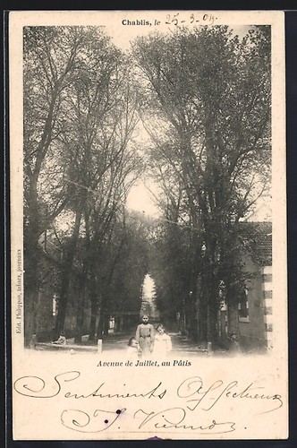 Cpa chablis avenue - chablis,,
