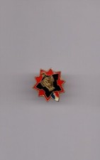 Pin's armée / Insigne DTG Direction Travaux du Génie - prévôté (époxy)