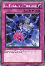 Yu-Gi-Oh - Les Forces Des Ténèbres (SDGU-FR032)