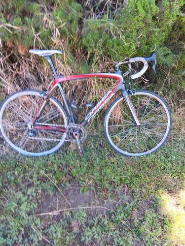 Orbea orca carbon 2010 cm - carbon,
