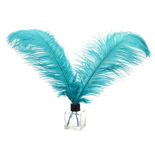 Plumes autruche - plumes, d'autruche