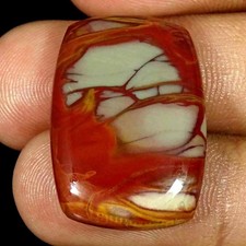 24,90 Cts Jaspe Noreena