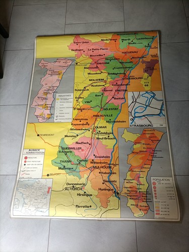 Affiche scolaire rossignol - affiche,