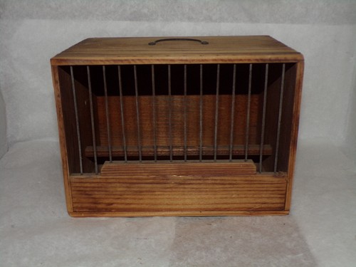 Ancienne petite cage - , oiseau