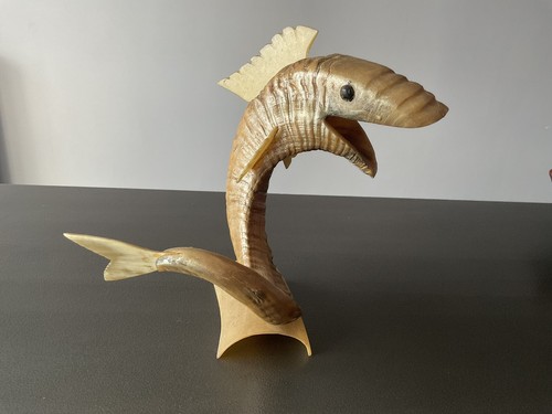 Poisson corne mouton - poisson,