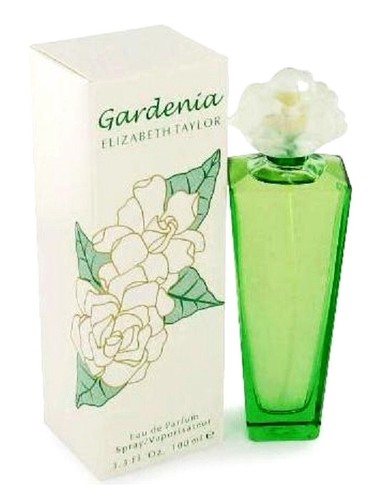 Gardenia elizabeth taylor - gardenia,