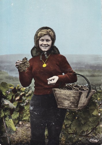 Carte postale 10x15cm postcard