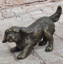 Cavalier King Charles