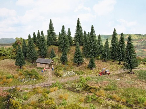 Noch sapins hauteur à 14 - noch,