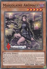 ♦Yu-Gi-Oh!♦ Marjolaine Aromage (Marjoram) : CHIM-FR018 -VF/Commune-