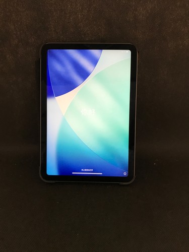 Apple ipad mini 2567 256 - mini,