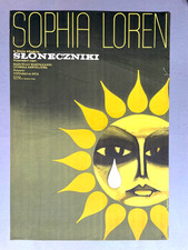 Sloneczniki sophia loren - sophia,