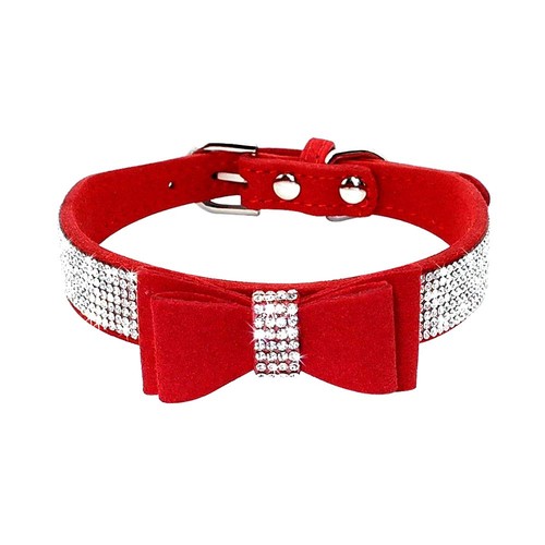 Collier pour chien avec