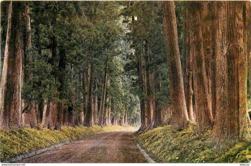 Carte postale japon nikko - -,