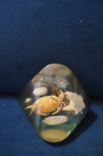 INCLUSION MARINE VINTAGE 1970 SOUVENIR DE BORD DE MER