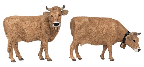 Pola 331554 brown - pola, cattle