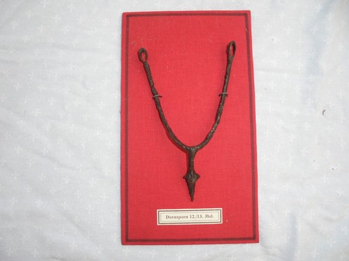 Asser rare eperon - asser,