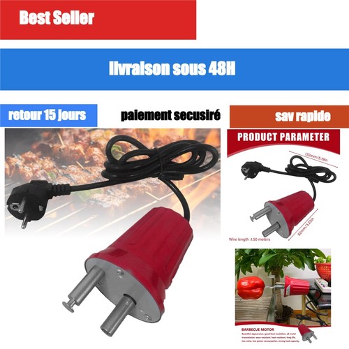 Moteur rotatif électrique