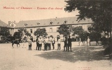 Moulins - 10ème chasseurs - Examen d'un cheval