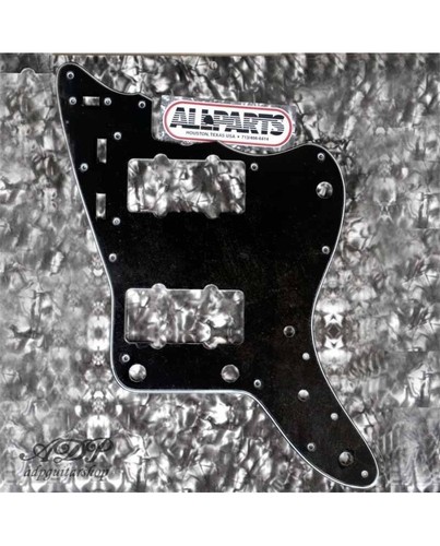 Pickguard pour fender - pickguard,