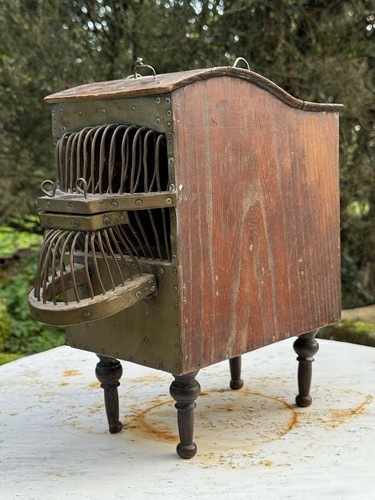 Rare cage oiseaux rossignol - rare,