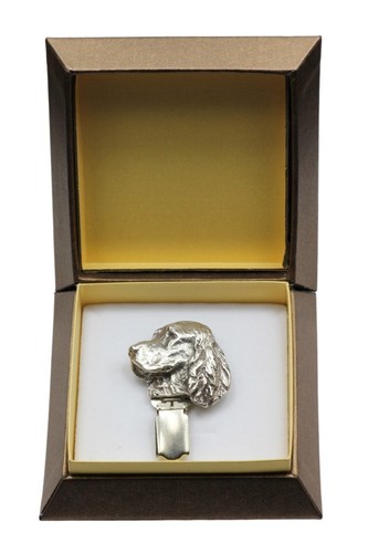 Springer anglais clip - anglais,