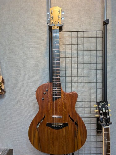 Taylor classic hybrid - taylor, t5-x