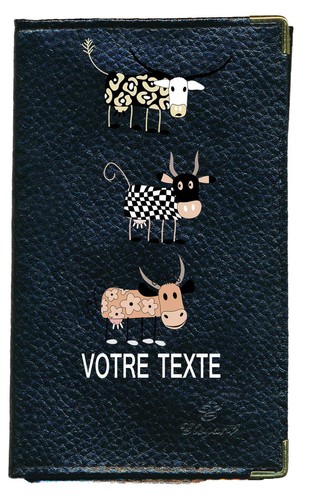 Etui carte grise noir cuir - grise, en
