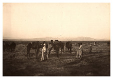 Algérie, caravane dans le