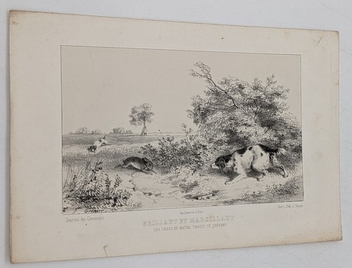 Gravure chasse chiens - gravure,