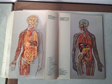 rapports topographiques des