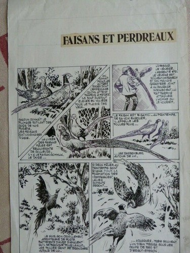Planche dessin - p, 1