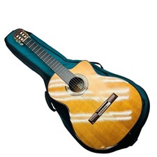 TAKAMINE Takamine Classic