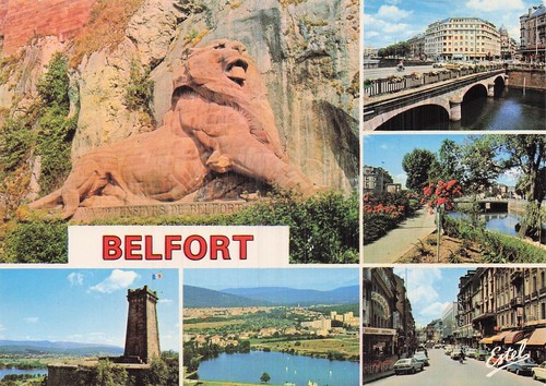 Belfort lion - lion, de