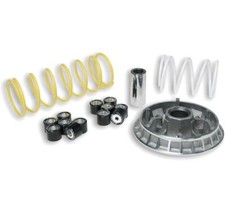 Variateur malossi multivar