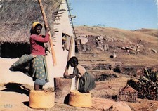 MADAGASCAR HAUTS PLATEAUX PILEUSE DE RIZ