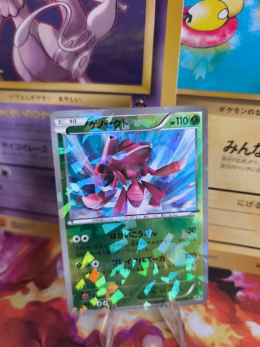 Carte pokemon card holo - carte,