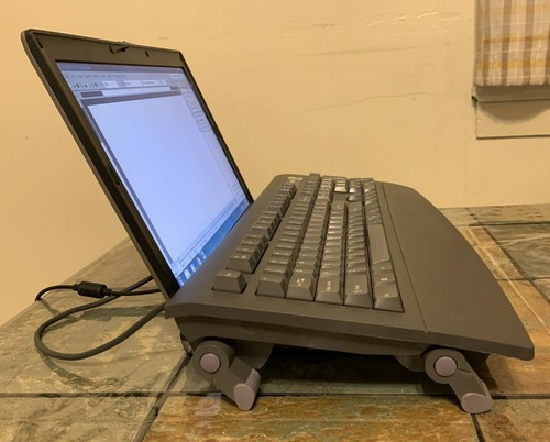Vintage 90s darwin skr - darwin, skr-2033