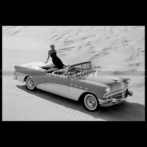 Photo 008209 buick century - buick,