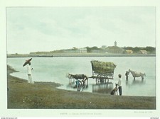 Ceylan Elephants Traînant Un Madrier