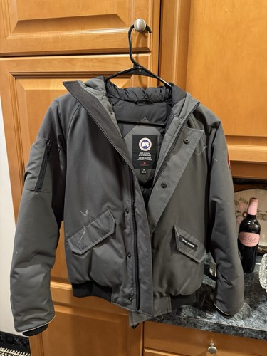 Canada goose grey chilliwack - goose,
