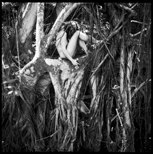 Nu palétuviers Hawaï argentique 50x70 (réf MUI.K04) LoïcDorez, Hasselblad, 01/05