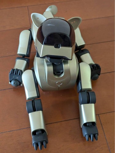 Robot divertissement - robot, de