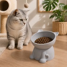 Gamelle chat design oreilles