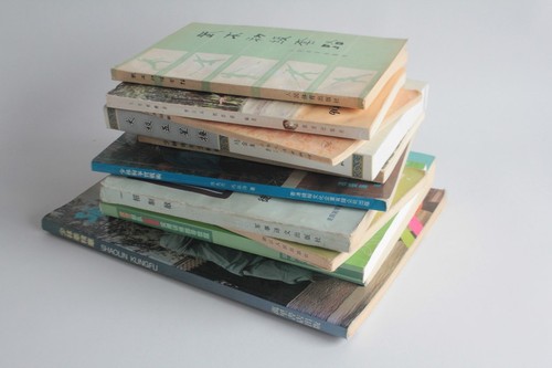 Lot livres art martiaux - 11,