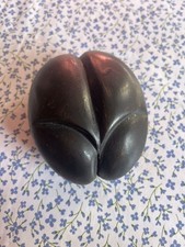 Objet De Curiosité. Coco