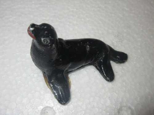 Animal quiralu otarie frais - quiralu;,
