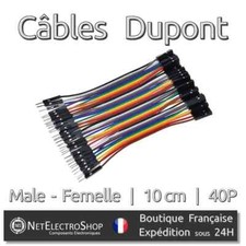 40x Cables Dupont 10cm Male/Femelle pour BreadBoard Arduino, Raspberry Pi