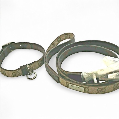 Ensemble collier pour chien