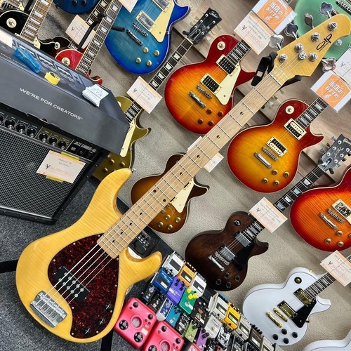 Olp musicman stingray 5 - by,